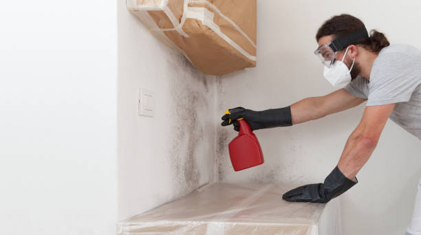 Professional Crawl Space Mold Removal technician working in Suttons Bay, MI
