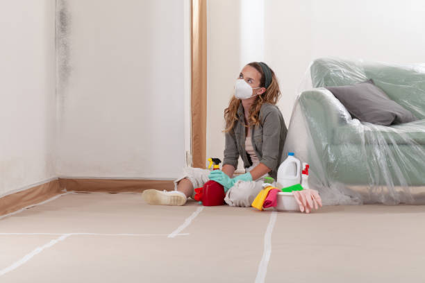 Reliable Crawl Space Mold Removal contractor in Suttons Bay, MI by WQB Mold Removal